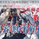 三国志幻想大陆张辽郭嘉阵容站位详解双将核心搭配与实战布阵策略分析