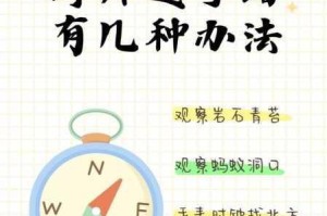 迷途荒野觅归路 安全返营求生指南与方位探寻要诀