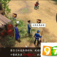 侠客风云传杜康村完全攻略隐藏任务全收集与剧情路线详解指南