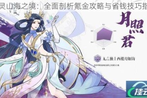 万灵山海之境：全面剖析氪金攻略与省钱技巧指南