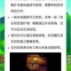 星露谷物语断桥矿山秘境探秘解锁隐藏资源与冒险全攻略
