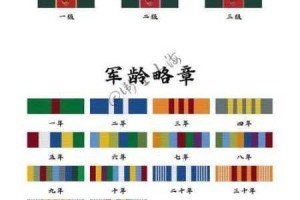 荣誉勋章战士特种部队全解析 成员构成与特色深度盘点