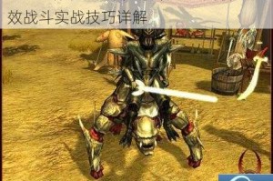 圣域2暗影武士技能机制全面解析与高效战斗实战技巧详解