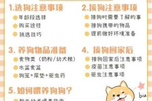 影之刃40级进化液获取全攻略高效途径与技巧详解