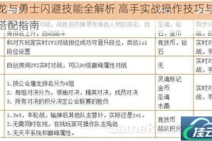 魔龙与勇士闪避技能全解析 高手实战操作技巧与连招搭配指南