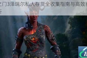 博德之门3泽瑞尔私人存货全收集指南与高效获取技巧解析