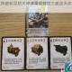九重试炼破轮回劫火淬清霜戒撼世之威逆天改命谱玄章