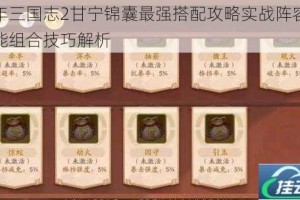 少年三国志2甘宁锦囊最强搭配攻略实战阵容与技能组合技巧解析