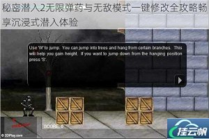 秘密潜入2无限弹药与无敌模式一键修改全攻略畅享沉浸式潜入体验