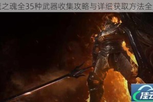 恶魔之魂全35种武器收集攻略与详细获取方法全解析