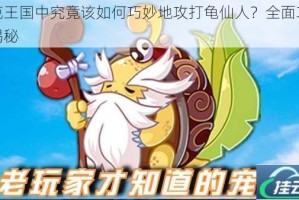 洛克王国中究竟该如何巧妙地攻打龟仙人？全面攻略大揭秘