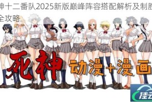 死神十二番队2025新版巅峰阵容搭配解析及制胜组合全攻略