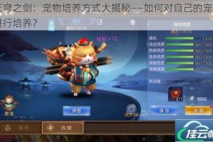 苍穹之剑：宠物培养方式大揭秘——如何对自己的宠物进行培养？