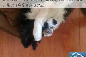 命运卷轴如何双开？2021 最新双开神器重磅来袭，带你开启全新游戏之旅
