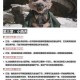 黑神话悟空石先锋BOSS招式解析与高效打法攻略助你轻松取胜