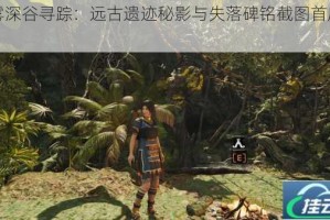 迷雾深谷寻踪：远古遗迹秘影与失落碑铭截图首度揭秘