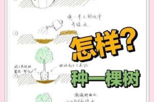 老农种树延寿秘诀大公开 科学养护让树木健康生长寿命倍增