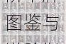 五星术士大妈的三大奥秘形态解析——全阶卡牌图鉴与进阶指南详录