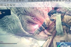 只狼多周目全解析：隐藏机制难度曲线与重复游玩策略深度探讨