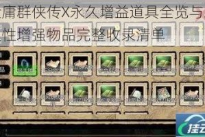 金庸群侠传X永久增益道具全览与永久性增强物品完整收录清单