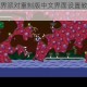 百战天虫世界派对重制版中文界面设置教程与语言切换方法详解