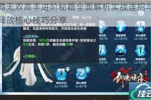 丸霸无双高手进阶秘籍全面解析实战连招与技能释放核心技巧分享