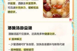 食物语混汤酒酿元宵技能深度解析与实战搭配指南
