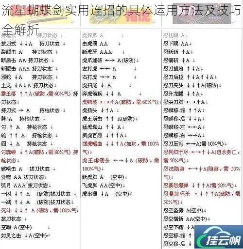 流星蝴蝶剑实用连招的具体运用方法及技巧全解析