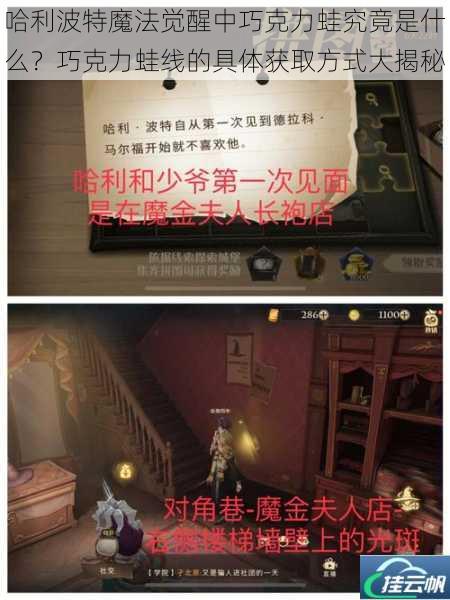 哈利波特魔法觉醒中巧克力蛙究竟是什么?巧克力蛙线的具体获取方式大揭秘