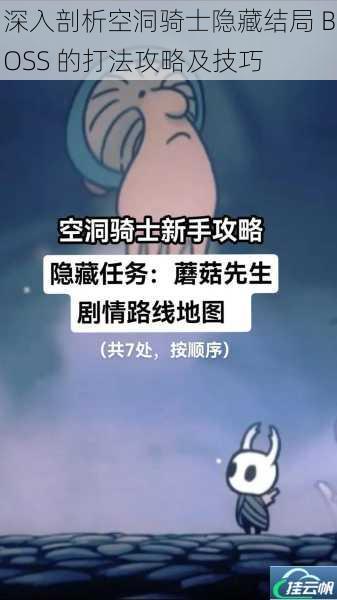 深入剖析空洞骑士隐藏结局 BOSS 的打法攻略及技巧