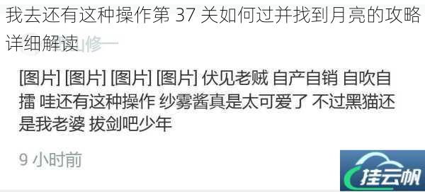 我去还有这种操作第 37 关如何过并找到月亮的攻略详细解读