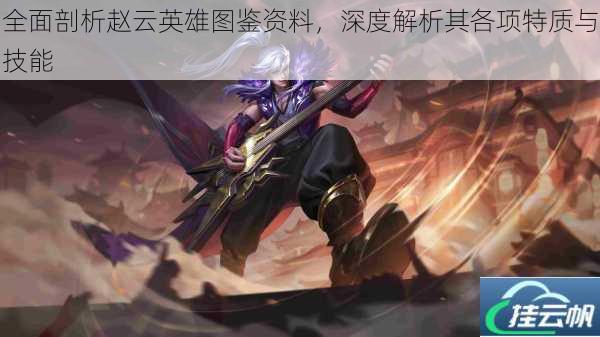 全面剖析赵云英雄图鉴资料,深度解析其各项特质与技能