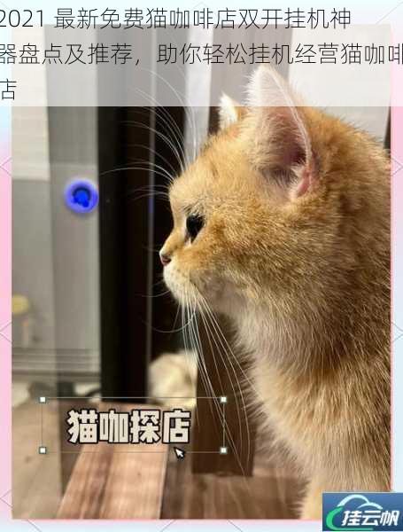 2021 最新免费猫咖啡店双开挂机神器盘点及推荐,助你轻松挂机经营猫咖啡店