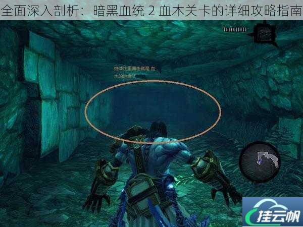 全面深入剖析:暗黑血统 2 血木关卡的详细攻略指南