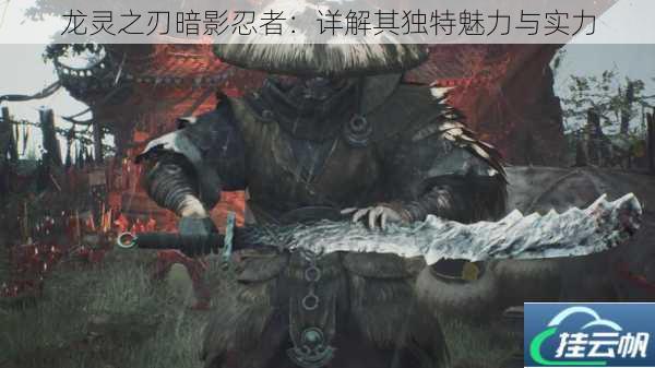 龙灵之刃暗影忍者:详解其独特魅力与实力