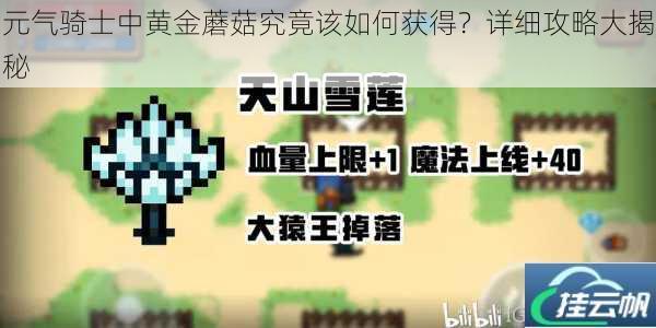 元气骑士中黄金蘑菇究竟该如何获得?详细攻略大揭秘