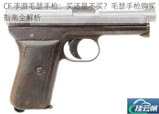 CF 手游毛瑟手枪:买还是不买?毛瑟手枪购买指南全解析