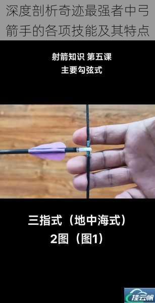 深度剖析奇迹最强者中弓箭手的各项技能及其特点