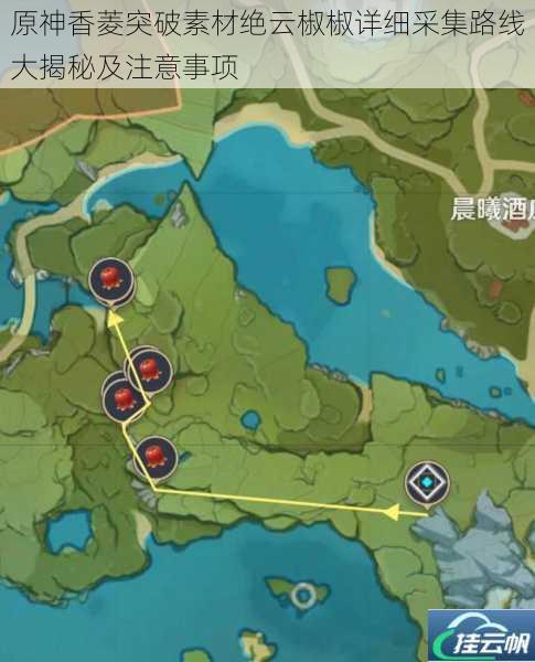 原神香菱突破素材绝云椒椒详细采集路线大揭秘及注意事项