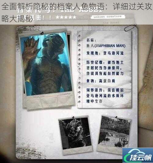 全面解析隐秘的档案人鱼物语:详细过关攻略大揭秘