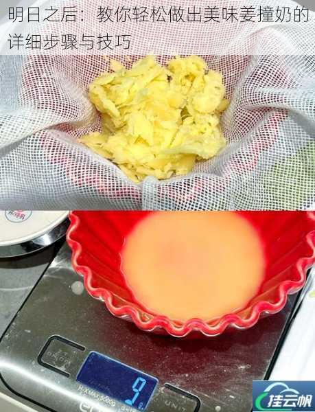 明日之后:教你轻松做出美味姜撞奶的详细步骤与技巧