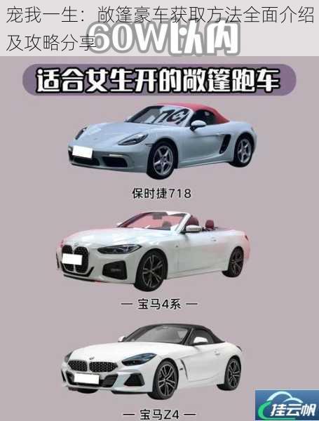 宠我一生:敞篷豪车获取方法全面介绍及攻略分享