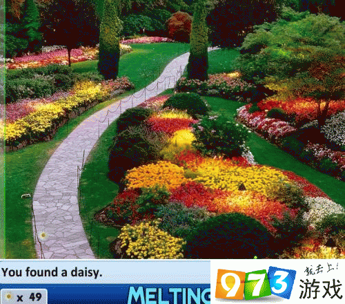 4399 匿踪雏菊图文攻略大揭秘:全面指引与详细步骤分享