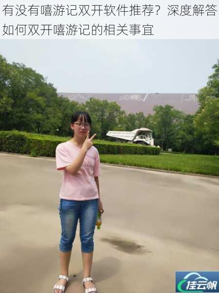 有没有嘻游记双开软件推荐?深度解答如何双开嘻游记的相关事宜