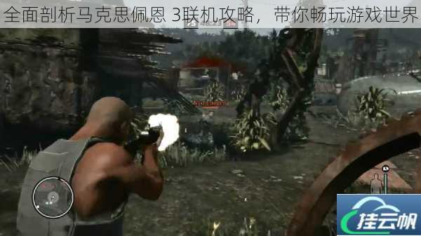 全面剖析马克思佩恩 3联机攻略,带你畅玩游戏世界