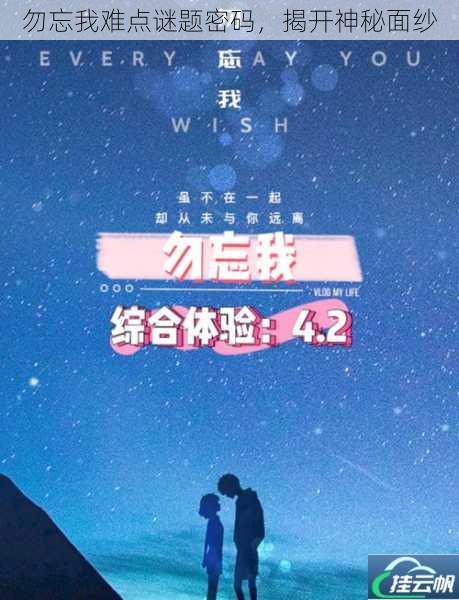 勿忘我难点谜题密码,揭开神秘面纱