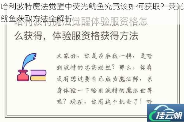 哈利波特魔法觉醒中荧光鱿鱼究竟该如何获取?荧光鱿鱼获取方法全解析
