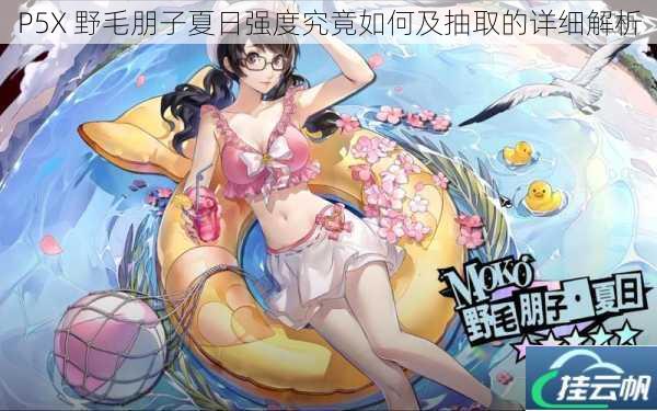 P5X 野毛朋子夏日强度究竟如何及抽取的详细解析