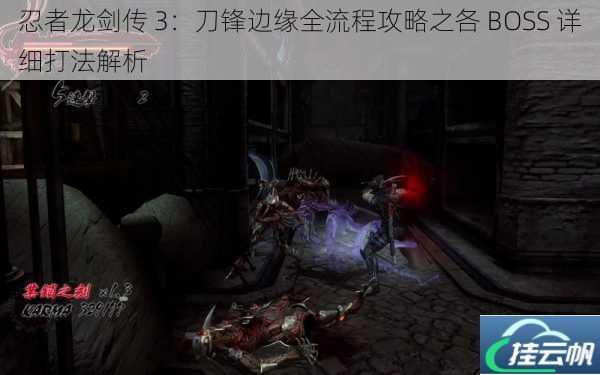 忍者龙剑传 3:刀锋边缘全流程攻略之各 BOSS 详细打法解析
