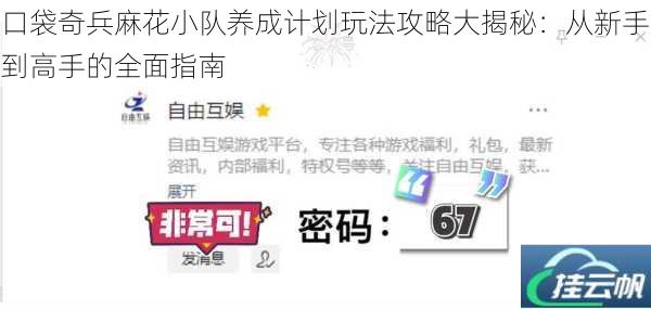 口袋奇兵麻花小队养成计划玩法攻略大揭秘:从新手到高手的全面指南